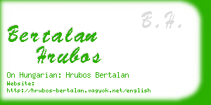 bertalan hrubos business card